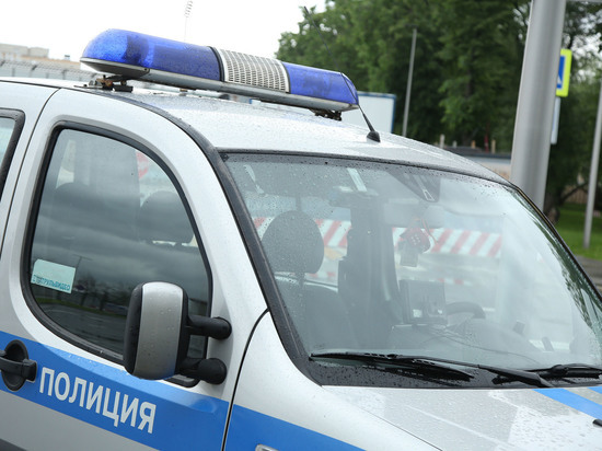 Петербуржец задержан за прыжки на капоте и крыше полицейской машины