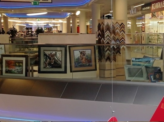 Разбитая витрина в Макси наделала шума в Смоленске