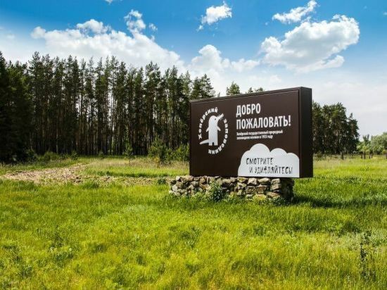 Посещение Хопёрского заповедника в Воронежской области ограничили из-за паводка
