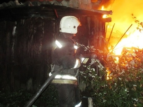 В Воронежской области при ночном пожаре погиб 44-летний мужчина