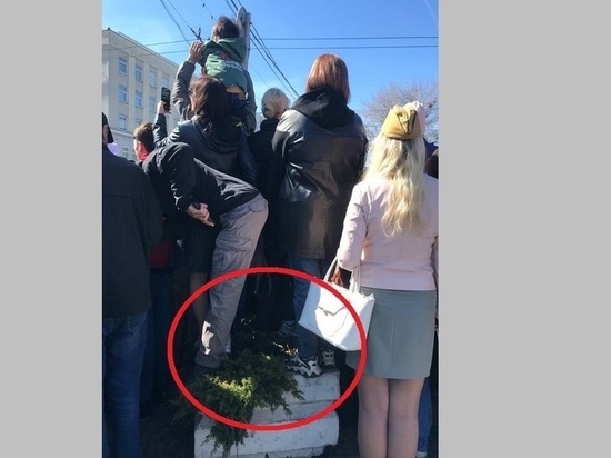 Калининградцы 9 мая затоптали растения на площади Победы