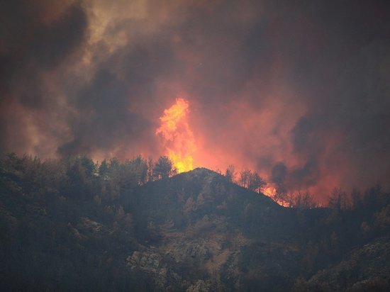 Минприроды РФ: Забайкалье ограниченно готово к тушению лесных пожаров