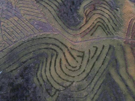 Дрон показал таинственные рисунки на земле Сахалина