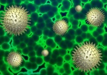 В Забайкалье за сутки выявлено только 17 случаев заражения коронавирусной инфекцией