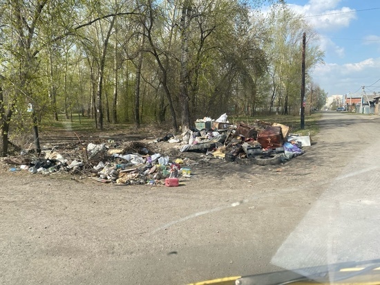 Жители Кемерова не могут определиться с местом для мусорных контейнеров