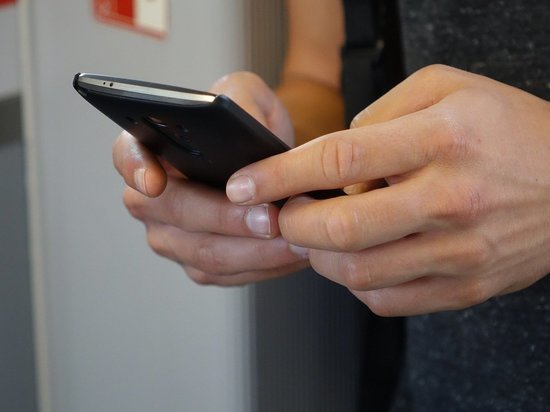 Полиция Петербурга ищет неизвестного автора интимных сообщений в переписке с 9-летней девочкой