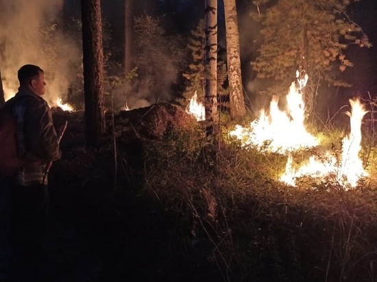 14 строений уничтожил крупный лесной пожар возле Екатеринбурга