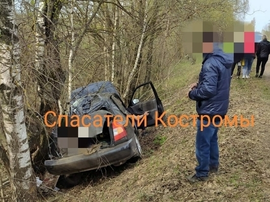 Костромские ДТП: «Hyundai Accent» против дерева