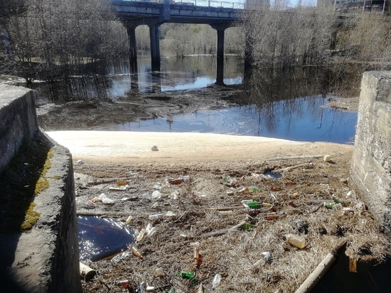 Жители Петрозаводска недовольны мусором в реке Лососинке