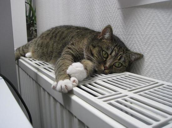 Отопление в жилых домах Томска начнут отключать 12 мая