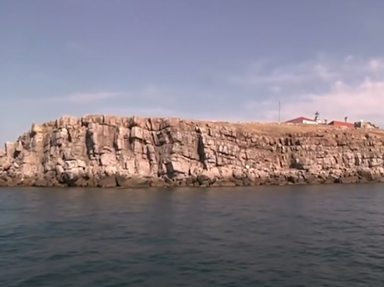 Очередная пиар-акция