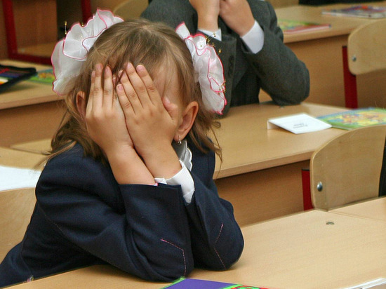 В российских школах вводят "Историческое просвещение" с 1 класса