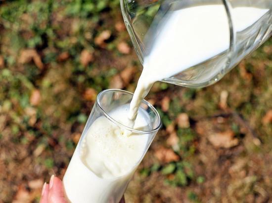 Почти половина молока из магазинов Красноярска оказалась фальсификатом