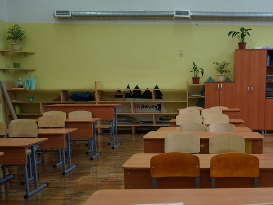 Прокуратура проверила петербургскую школу после скандала с просмотром «Бесогона» на уроке