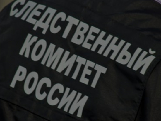 СК задержал и предъявил обвинение четверым военнослужащим ВСУ за обстрел Донбасса