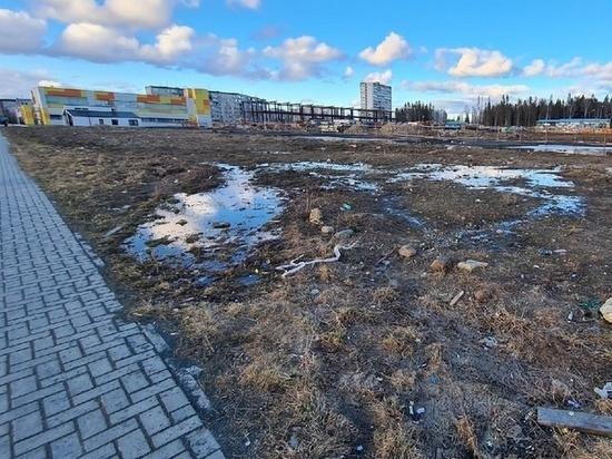 Строители объяснили, почему не застраивается вырубленный участок леса в Петрозаводске