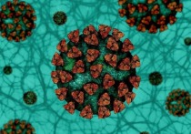 В Забайкалье за прошедшие сутки с меднаблюдения сняты еще 36 пациентов с подтвержденным коронавирусом