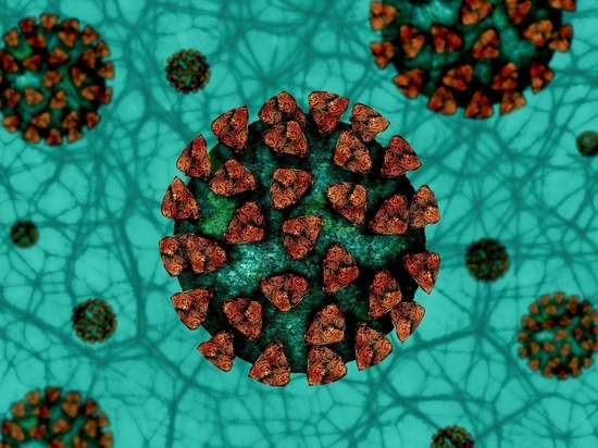 Еще 36 забайкальцев победили коронавирус, за сутки никто не умер