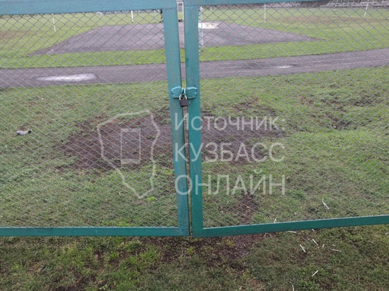 Крупнорогатый скот стал причиной закрытия входа на кузбасский стадион