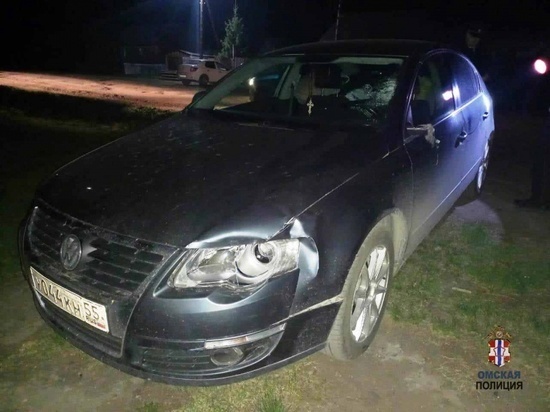 На жителя Омской области завели уголовное дело за сбитую насмерть девочку-подростка