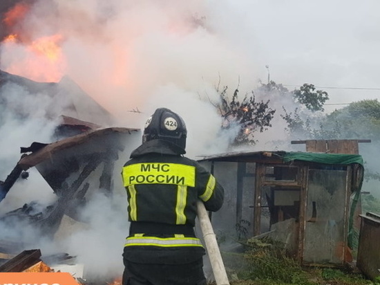 Полыхающие постройки в садоводстве «Касимово» тушили 12 человек