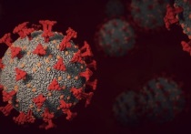 По данным оперштаба, за последние 24 часа столичные врачи выявили 294 новых случая заражения коронавирусной инфекцией