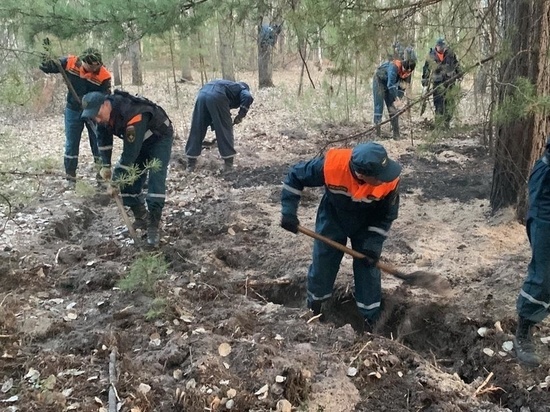 Экс-депутат Воронежа заявила, что леса в Зауралье горят из-за «навальнят»* Екатеринбурга