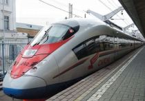 Компания «Сименс мобильность» объявила о расторжении с 13 мая всех договоров с ОАО РЖД и прекращении технического обслуживания поездов