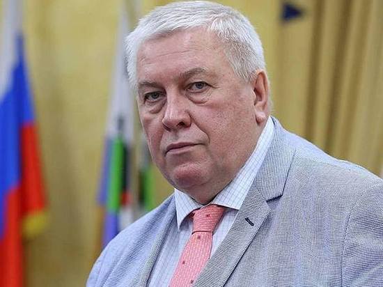 Профессор ИГУ Сергей Шишкин о полезных мэрах, политических партиях и вертикали власти