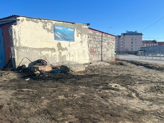 За порчу земли мазутом и свалку у гаража накажут мужчину из Салехарда