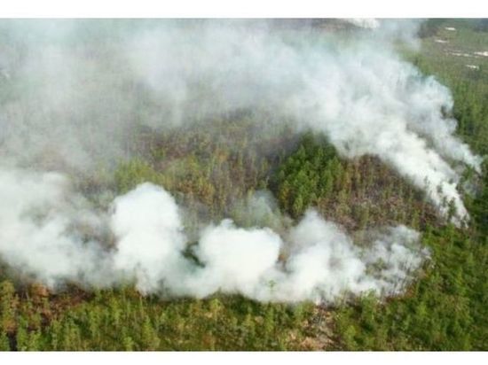 В Якутии зафиксированы первые лесные пожары