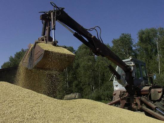 Украинское зерно хотят вывозить через балтийские порты