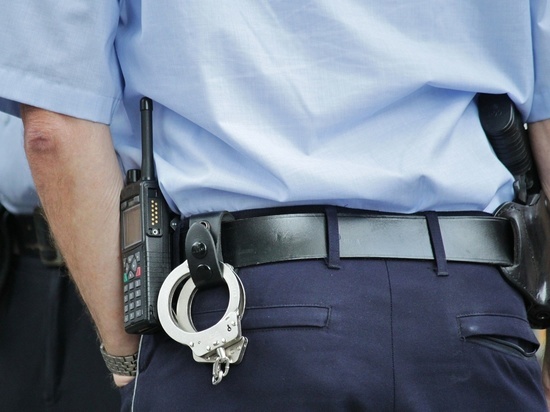 Забайкалец ударил полицейского в ухо, его оштрафовали на 70 тысяч рублей