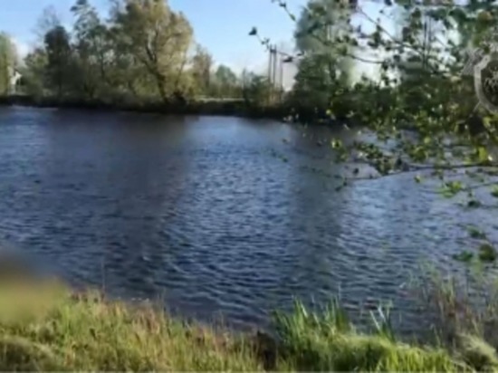 В Славском районе из реки достали тело мужчины, СК начал проверку