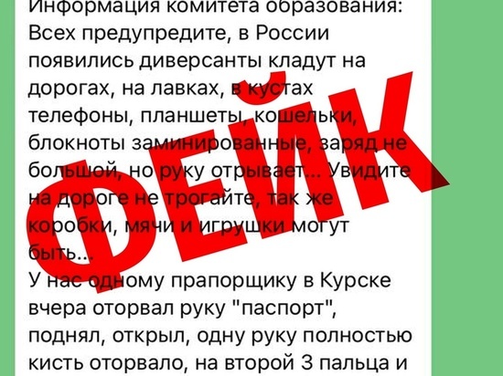 В Курской области опровергли фейк о заминированных детских игрушках