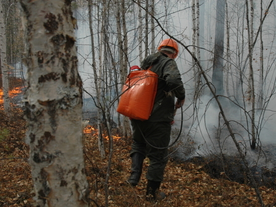 Один лесной пожар потушили за сутки в Забайкалье
