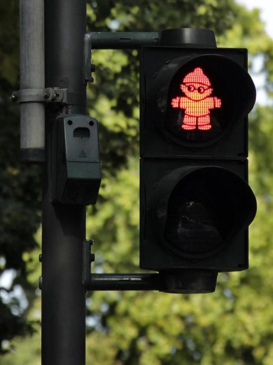 В Мурманске под колеса автомобиля попали двое детей