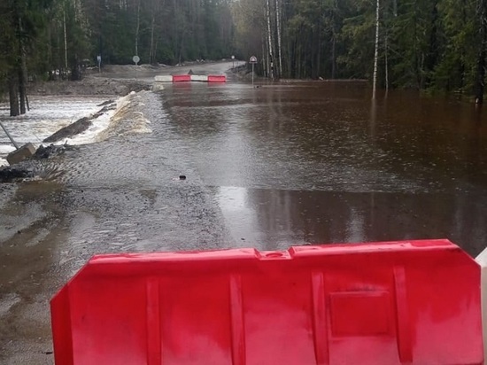 Движение по дороге из Петрозаводска в Лососинное запрещено из-за потопа