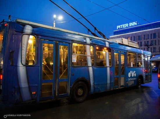 Жительница Петрозаводска возмущена тем, что водитель троллейбуса разговаривала по телефону