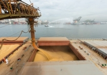 Украина добивается открытия черноморских портов для вывоза пшеницы