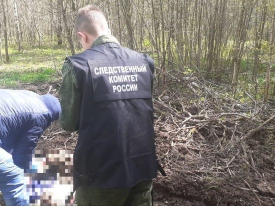 Житель Суворовского района убил друга и закопал его тело в лесополосе