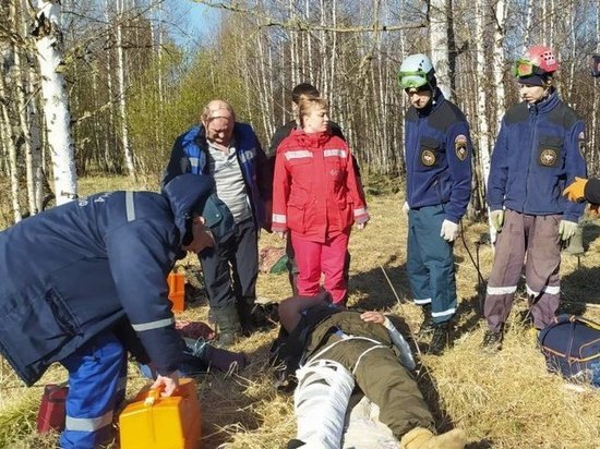 В Красноярском крае спасатели эвакуировали на вертолете Ми-8 упавшего с дерева охотника