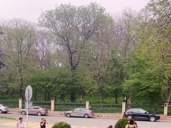 В Ессентуках построят школу за миллиард с тиром и бассейнами