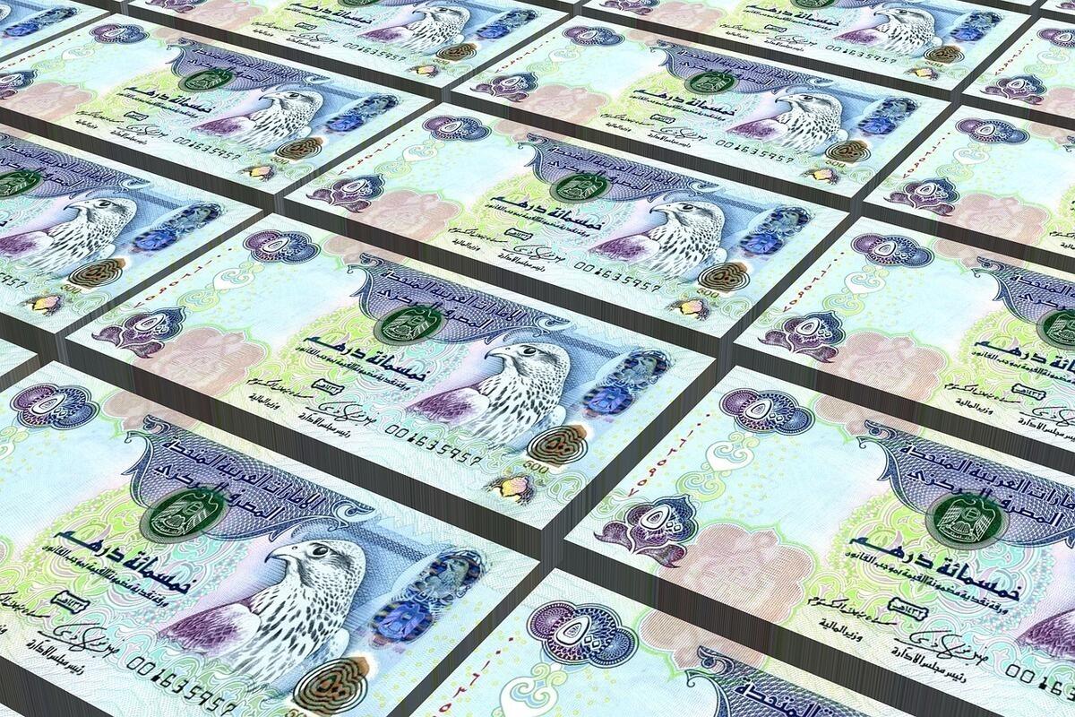 قد تصل قيمة الورقة النقديّة الواحدة منها إلى 4000 درهم إماراتيّ. يبدو أنّكم على