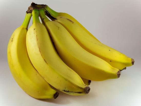 В Барнауле ученые планируют выращивать бананы