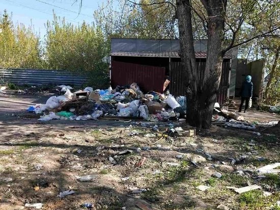 Городок в Пензенской области погряз в мусоре