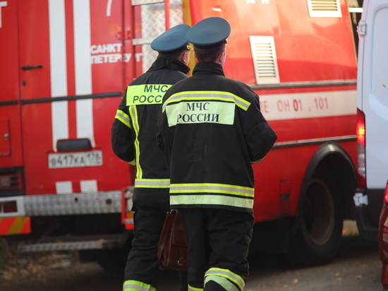 Два человека пострадали в пожаре на Звенигородской, огонь тушили полтора часа