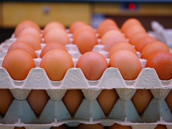 Более 300 тысяч куриных яиц экспортировали в Монголию из Красноярского края