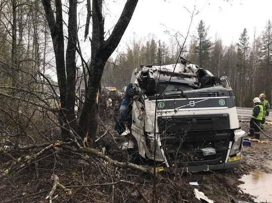 Выяснились подробности страшной аварии, произошедшей в Прионежском районе Карелии