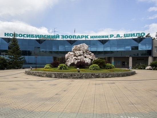 Начало летнего сезона отметят в Новосибирском зоопарке Днем медведя